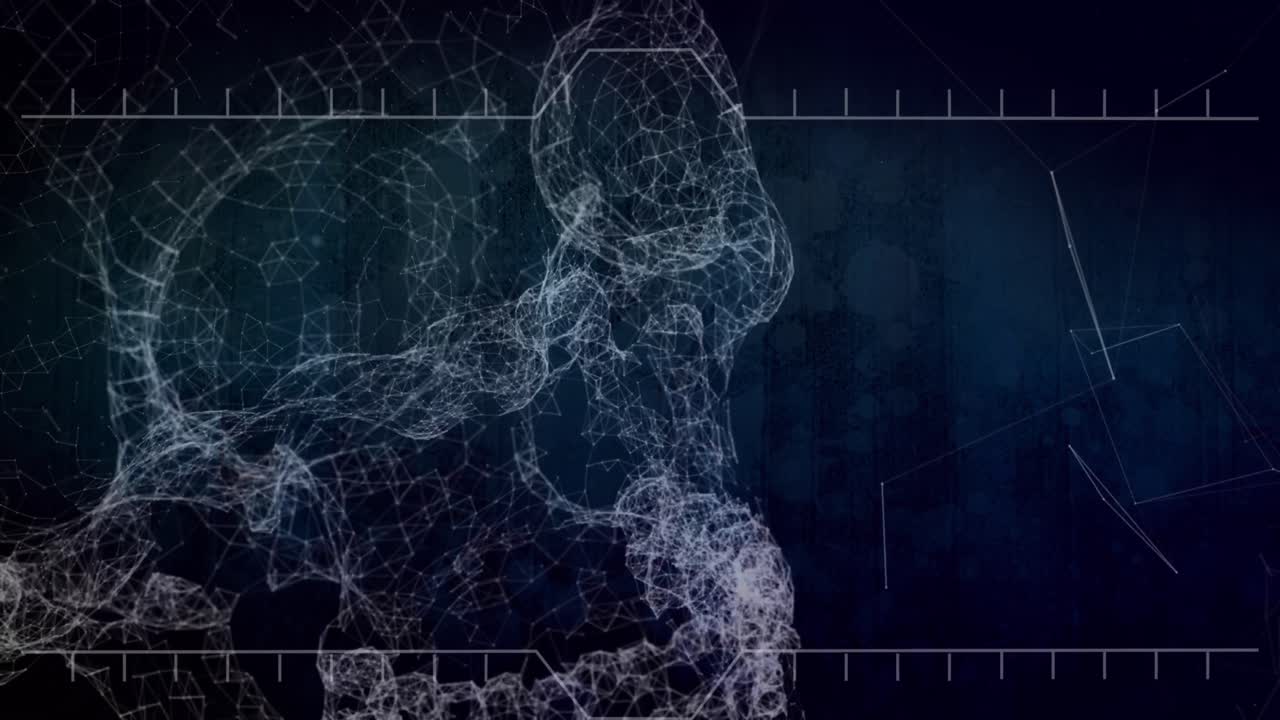 검은 바탕에 두개골을 형성하는 연결망