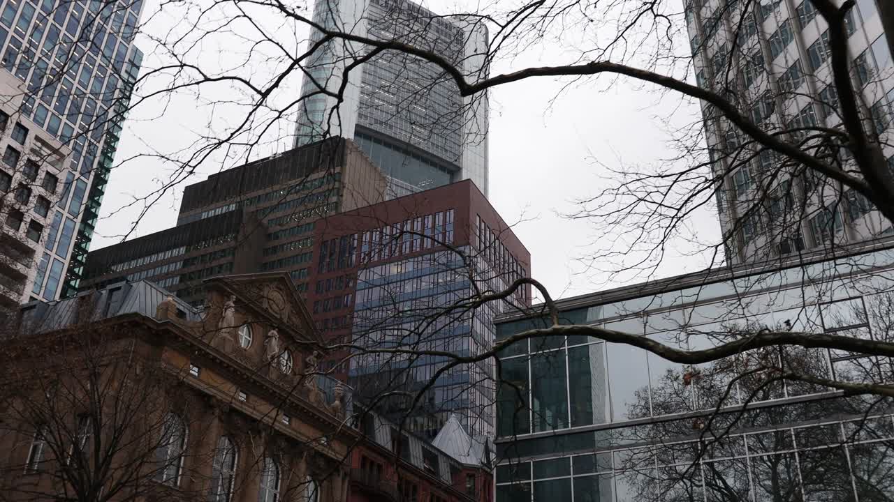 el horizonte de frankfurt am main en alemania en invierno 25 fps