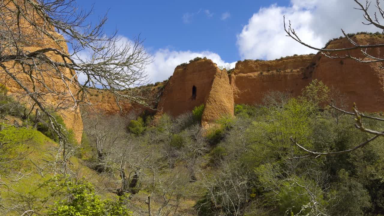 Gorgeous Golden Mountains Surrounded By Vegetation Behind Dead Tree