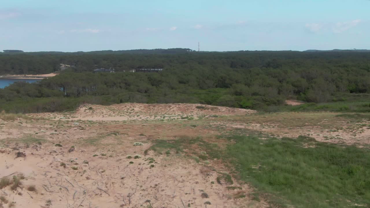 dunas de arena con vegetación baja, soustons en landes, nouvelle-aquitaine en francia