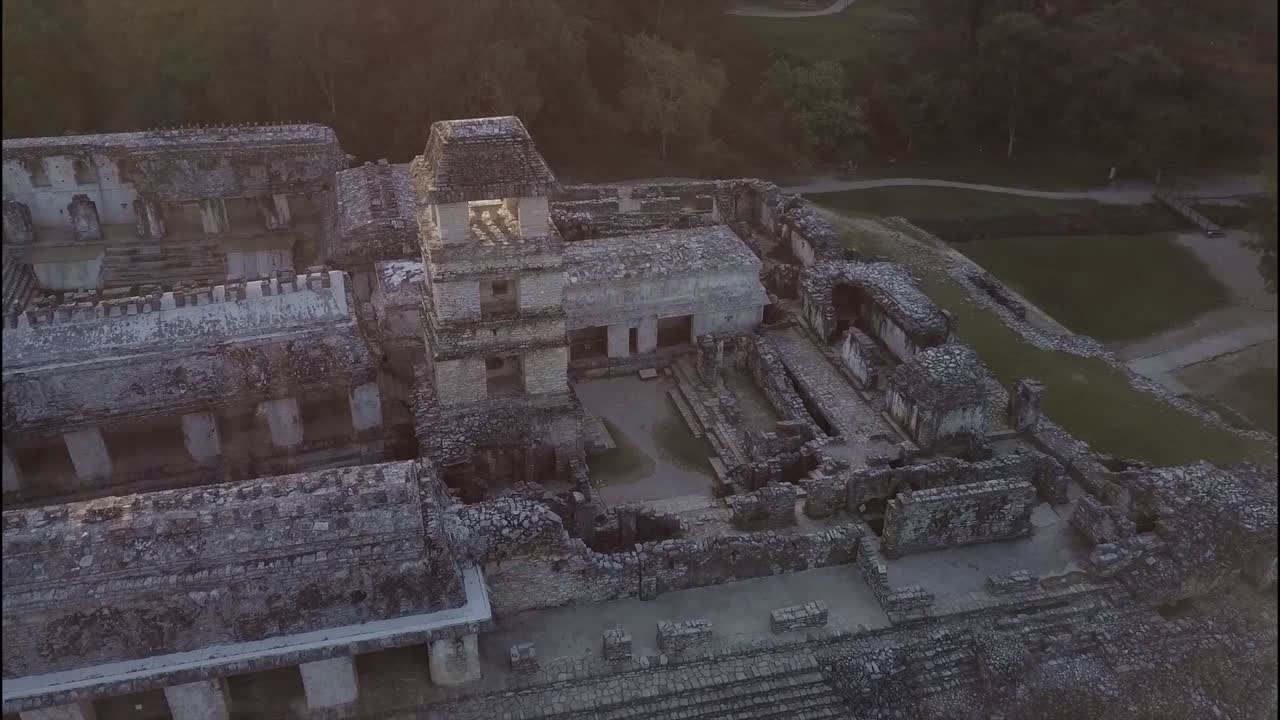 una vista aérea sobre las pirámides mayas de palenque en méxico 3