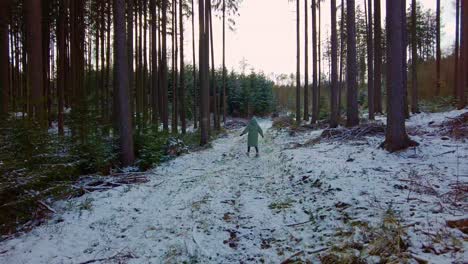 una joven que disfruta de la temporada de invierno con una chaqueta cálida gira en medio del bosque