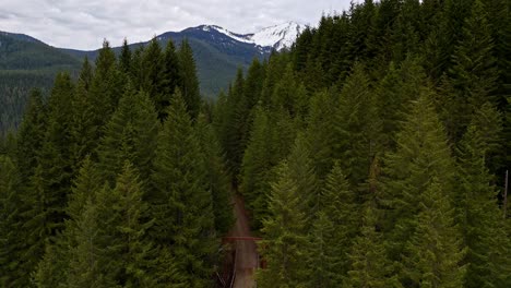 Aerial-view-above-Evergreen-forest-with-snowcapped-mountain-in-the-background-in-Snoqualmie,-Washington-State