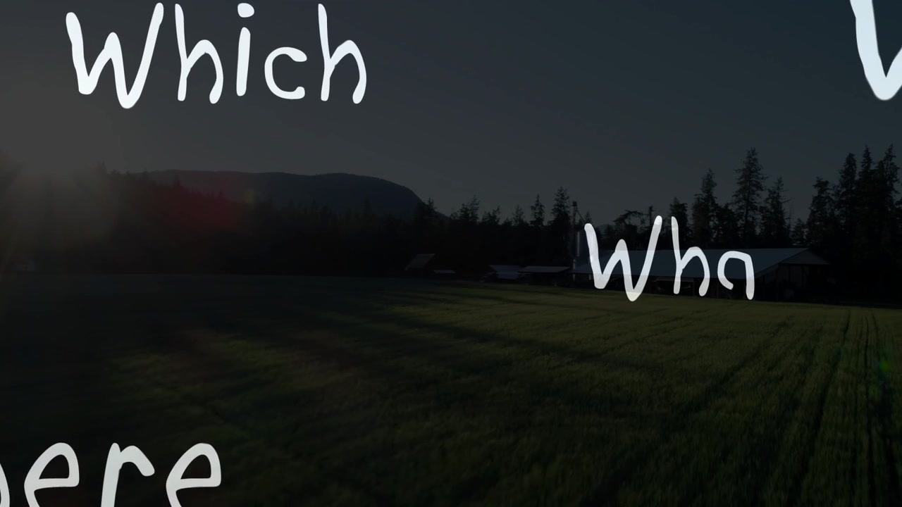 Sun flare sparking white words moving and scaling over rural field ending with Why asking questions