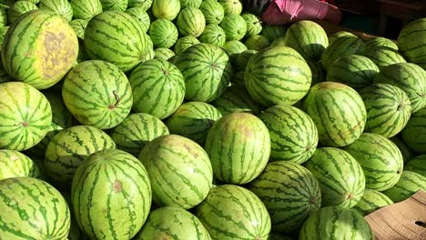 Philippinische-Wassermelonen-Frucht-Dateien-Display-Zum-Verkauf