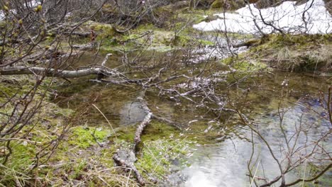 stream from the glacier