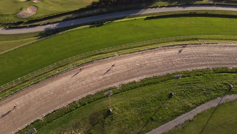 caballos galopando en el hipódromo de san isidro, buenos aires en argentina