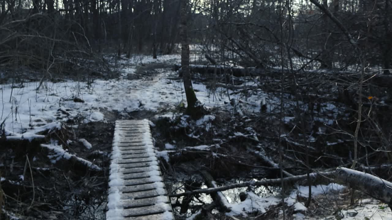 Small rural and old walkway or a bridge crossing a small water stream or a ditch during winter cloudy day. The wooden structure bridge is covered in ice and white snow in a dark and spooky forest.