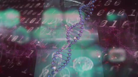 바이너리 코드와 다양한 데이터를 스크린에서 회전하는 dna 사슬의 애니메이션