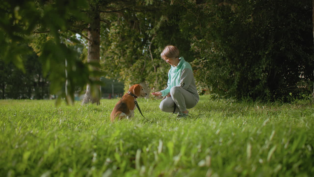 Sports woman kneels on lush green grass holding dog food in her hands while attentive bulldog watches eagerly during outdoor training session surrounded by trees under bright daylight at park