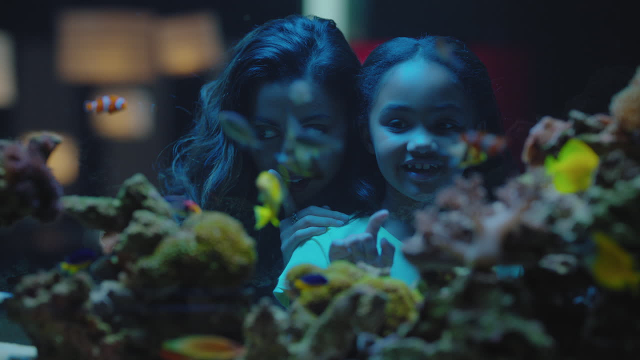 어머니와 딸이 수족관  ⁇ 크에서 열대 물고기를 보고 호기심 많은 작은 소녀는 산호초 서식지에서 수영하는 해양 동물을보고 어머니와 함께 해양 생물에 대해 배우고 있습니다.