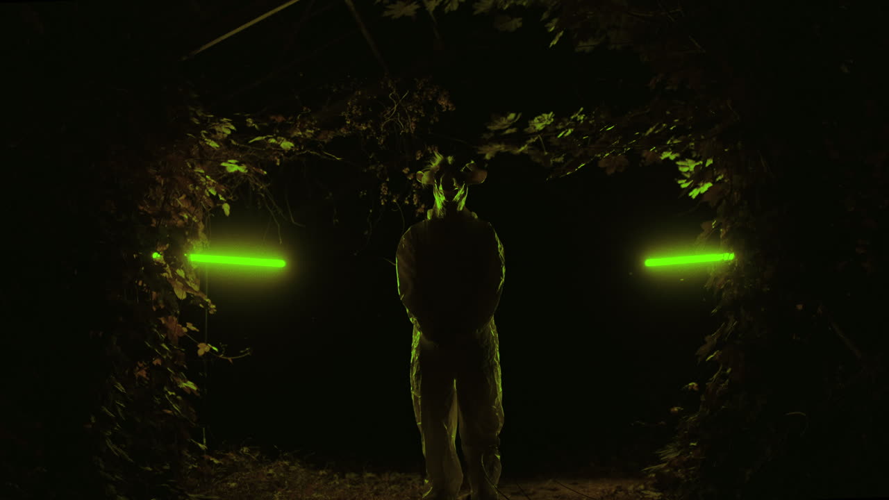Person in Green Light Forest