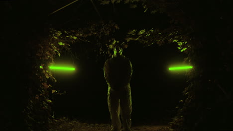 person in green light forest