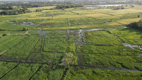 linear forward aerial of natural reserve of bourgoyen-ossemeersen