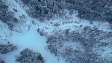 drone aerial snow pine tree forest top down view of fjord mountain near bergen, norway, scandinavian winter landscape