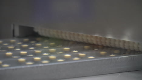 yellow round pills move rapidly on conveyor belt under brush, close up