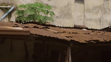 slum rooftop nigeria