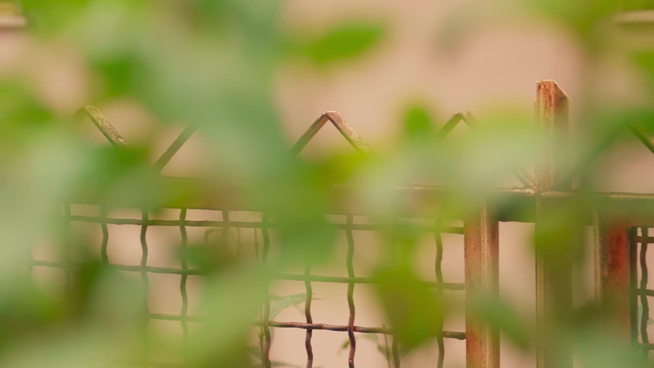 체인링크 울타리에서 주거용 주택으로 초점을 끌어옵니다.