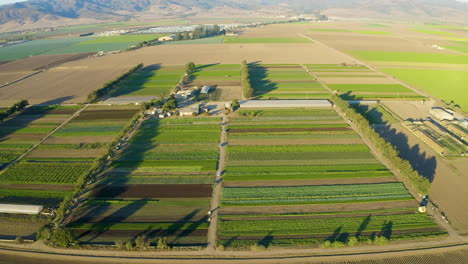 Toma-Aérea-Avanzando-E-Inclinándose-Hacia-Abajo-En-Tierras-De-Cultivo-En-El-Valle-De-Salinas,-Ca