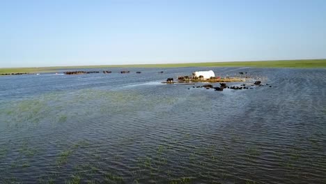 drone shot the marshes of iraq mesopotamian marshes