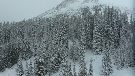 Cinematic-aerial-Colorado-Deep-powder-snowing-Loveland-Ski-Resort-Eisenhower-Tunnel-Coon-Hill-backcountry-i70-heavy-winter-spring-snow-Continential-Divide-Rocky-Mountains-covered-trees-slow-pan-up