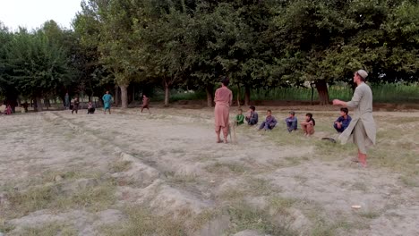 Cricket-in-the-Village