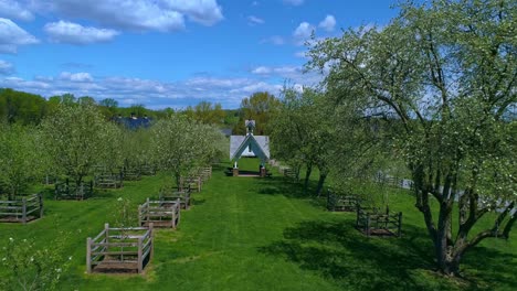 Aerial-Drive-thru-of-a-Orchard-on-Sunny-Windy-Day