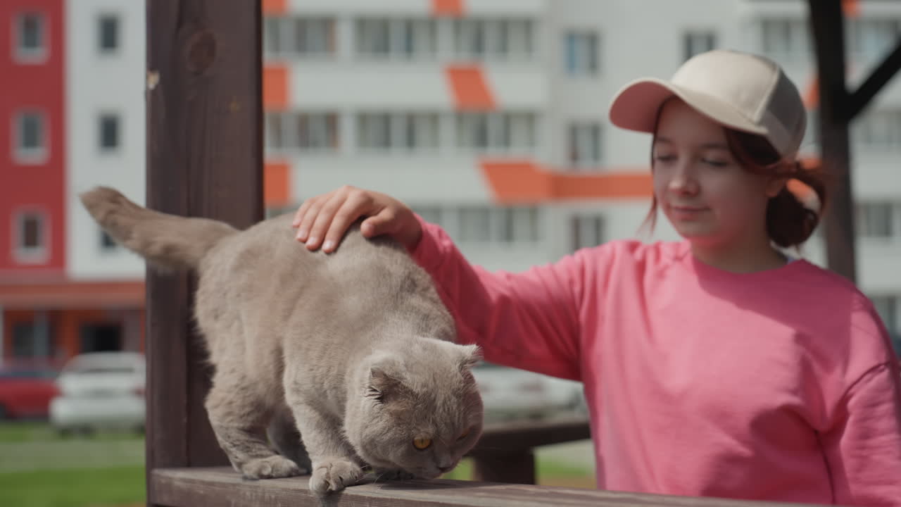 Girl Petting Cat On Railing In Courtyard, Candid Interaction As Child In Pink Sweater And Cap Caresses Fluffy Cat, Cat Climbs And Rubs Against Hand While Apartment Blocks Frame Background, Warm