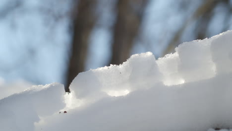 vista detallada de la nieve apilada y agrupada en medio de un bosque frío y soleado - primer plano panorámico