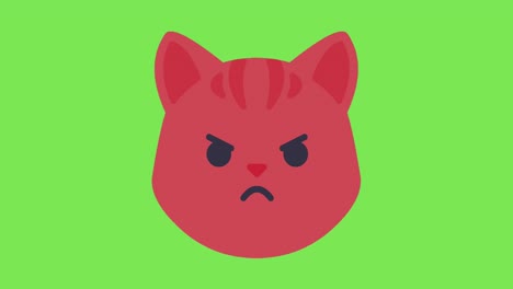 Gato-Animado-Cara-Enojada-Emoji-Emoticono-Enojado-Pantalla-Verde-4k