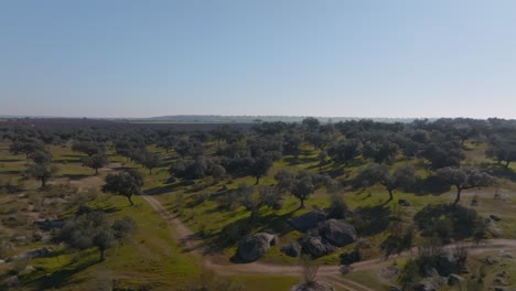 Caminos-De-Tierra-En-El-Campo-Español