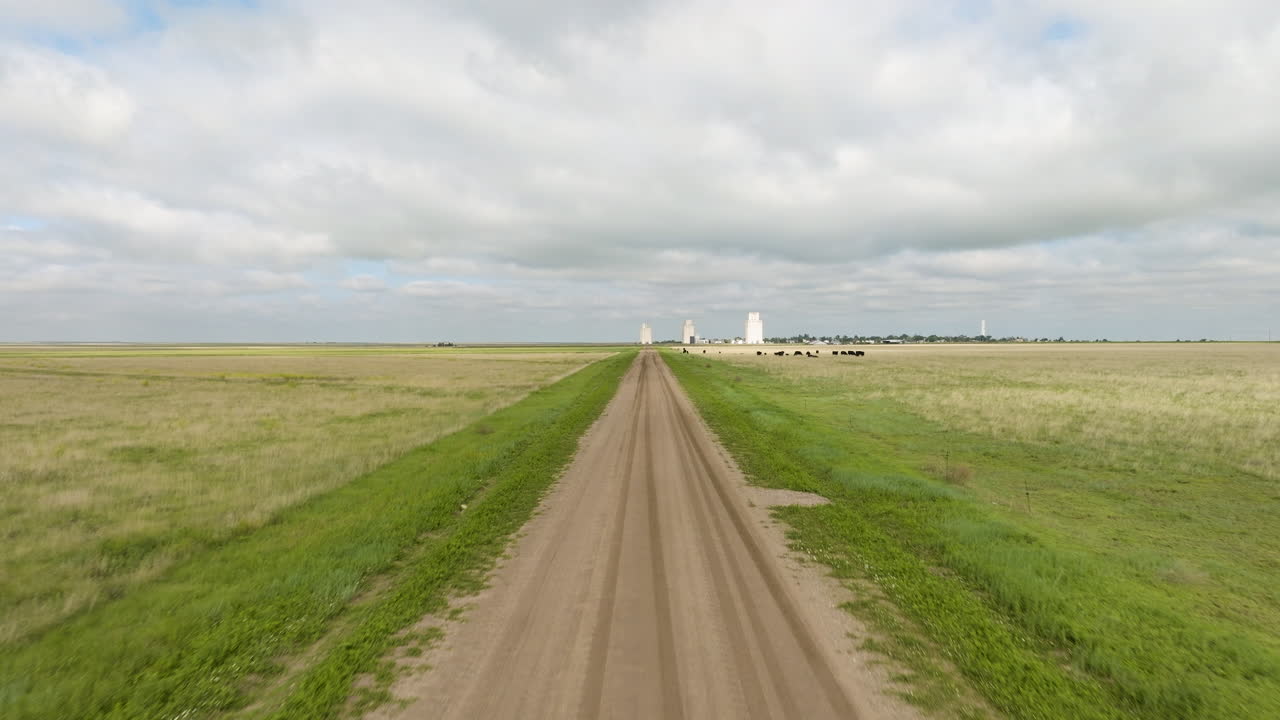 Rural Farmland Landscape with Grain Silos and Cows