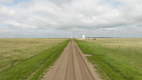 rural farmland landscape with grain silos and cows