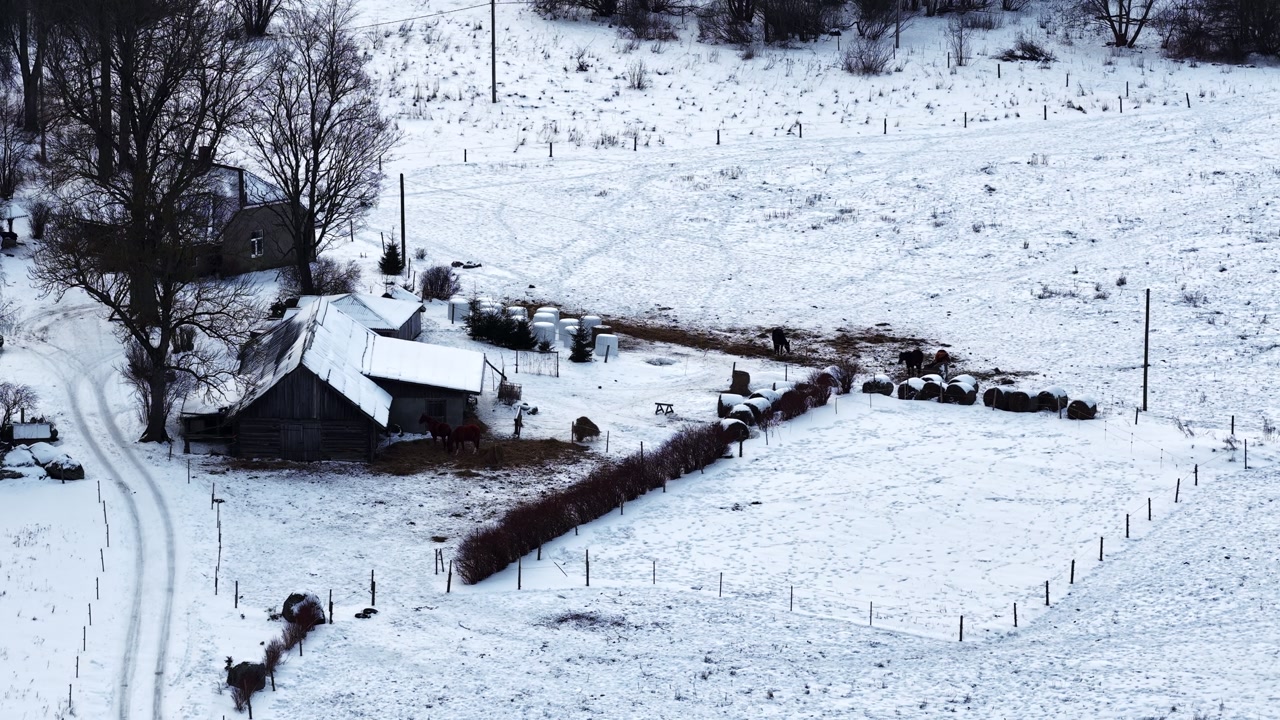 Farm buildings with horses grazing in winter snow, country life concept