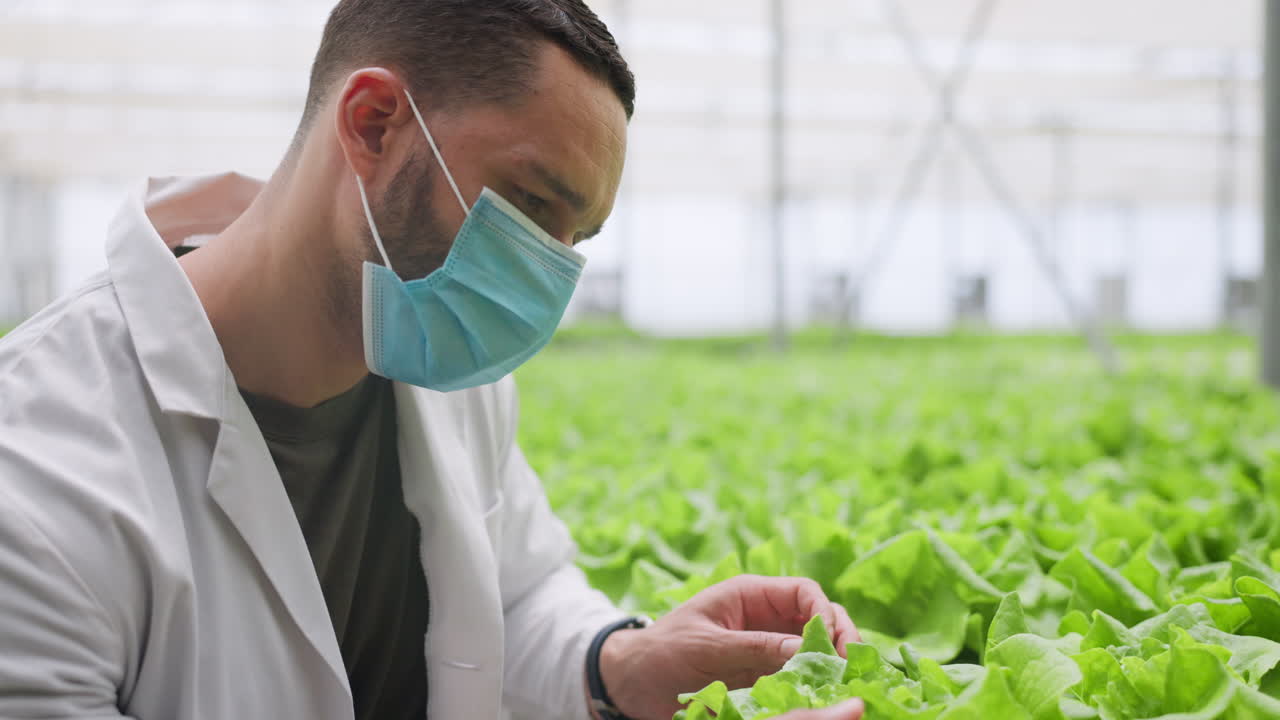 인간, 농부 및 온실 식물