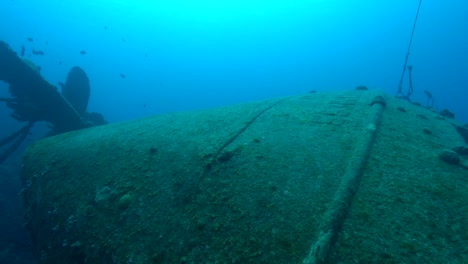 hilma hooker babor popa