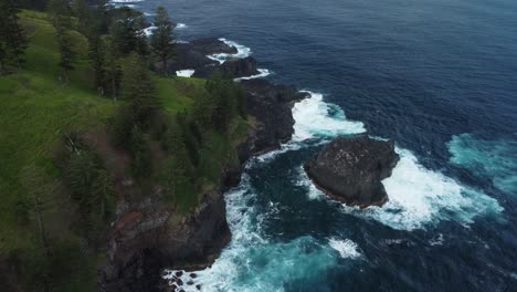 Pine-trees-on-steep-grassy-cliffs-on-coast-of-Norfolk-Island-in-Pacific-ocean