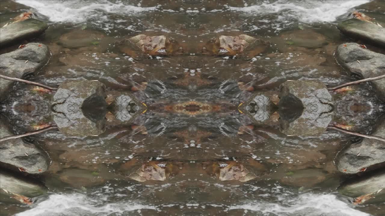 caleidoscopio de tomas de la naturaleza, wissahickon creek