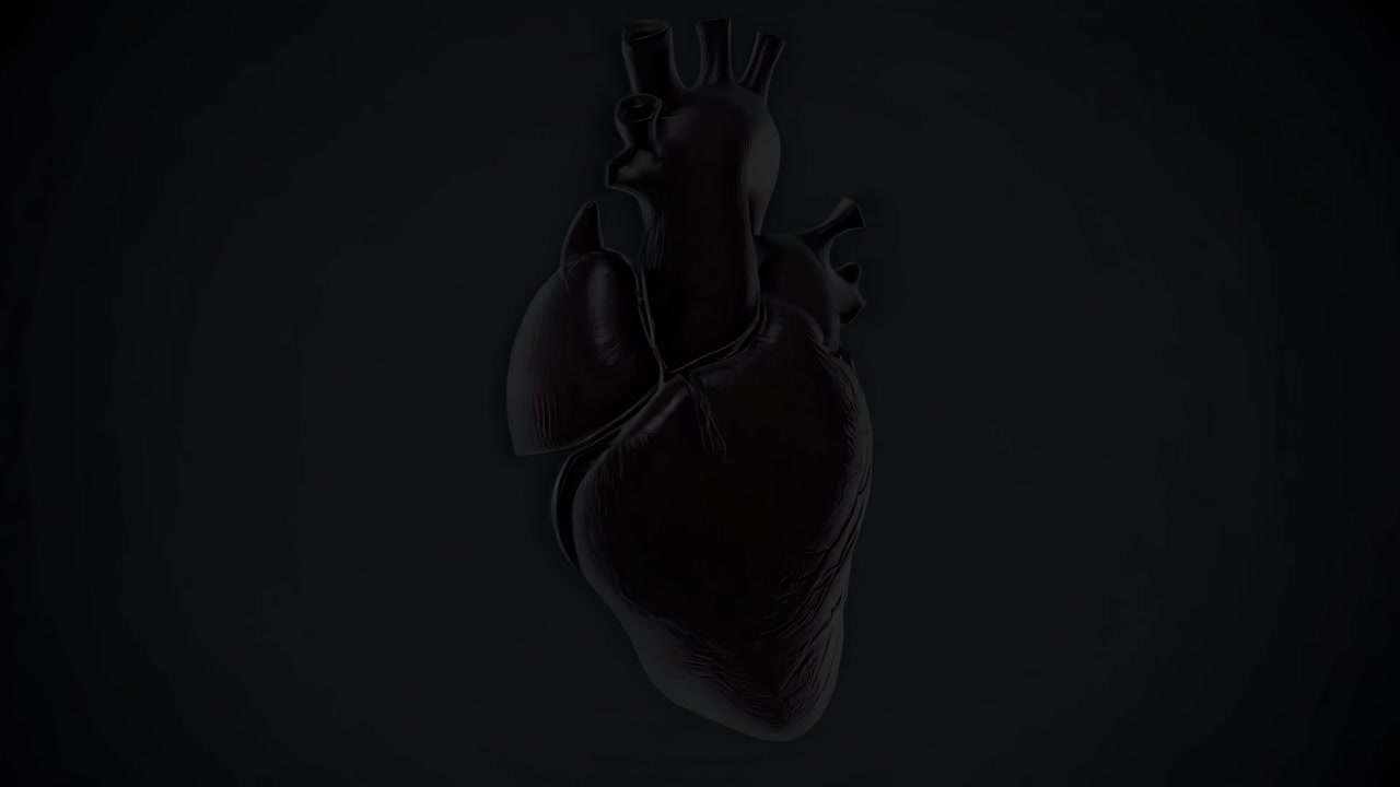 3D Model of the Human Heart and Major Vessels