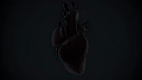 3d model of the human heart and major vessels