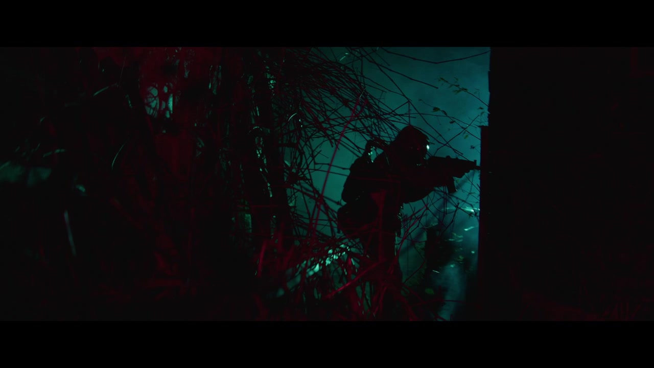 Nighttime Stealth Operation in a Dark Forest