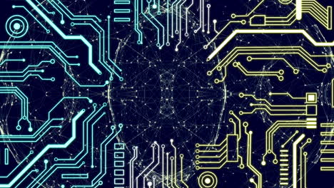 animación de la red de conexiones con la placa de circuitos informáticos