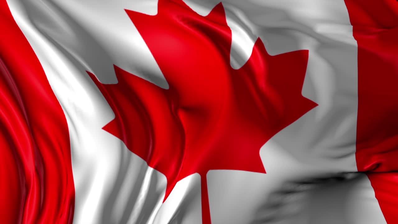 agitando la bandera canadiense