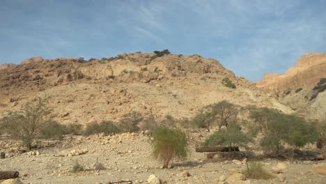 desert mountains ein gedi en gedi israel biblical site oasis spring