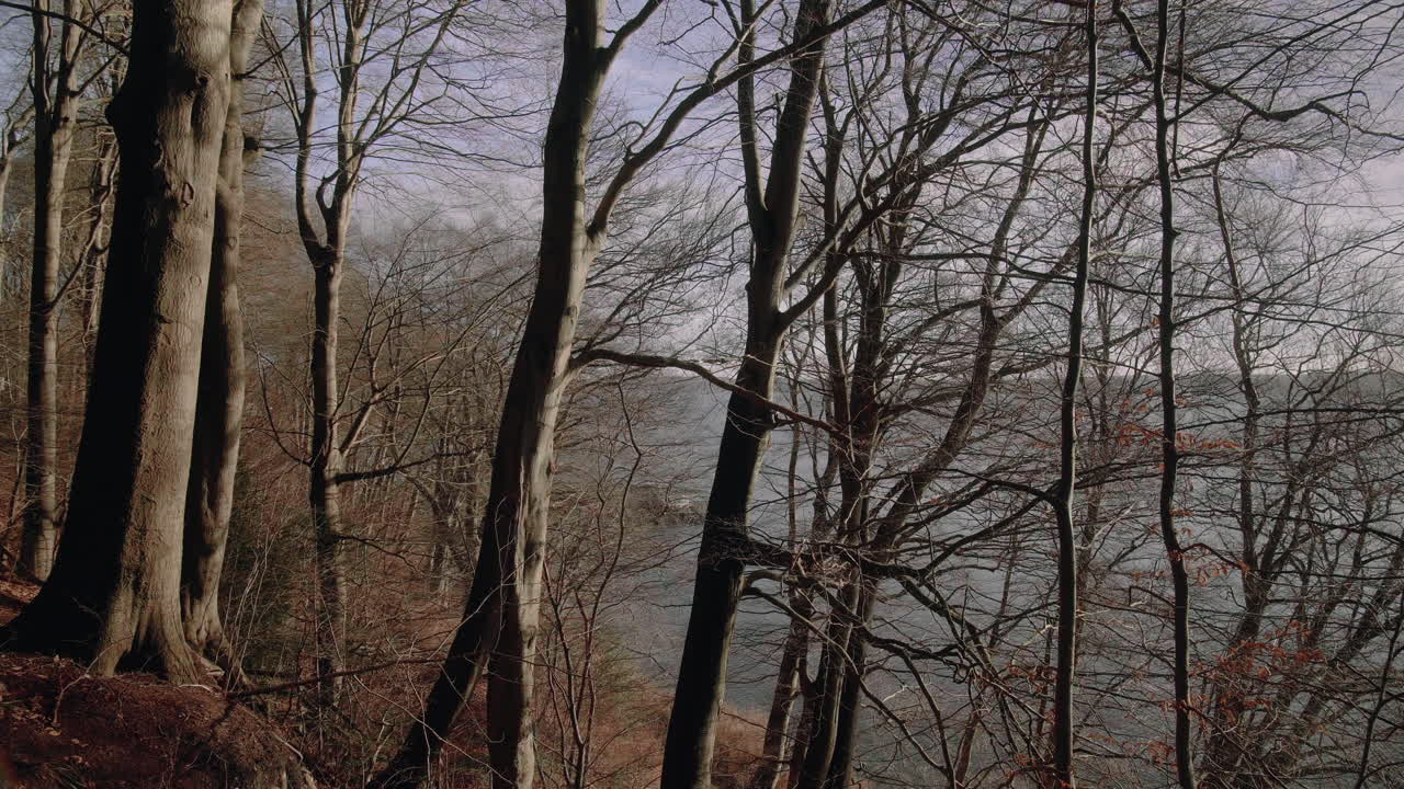 秋天在湖邊的森林裡玩娃娃