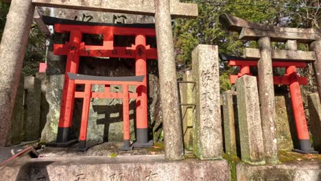 a serene walk through traditional japanese torii gates