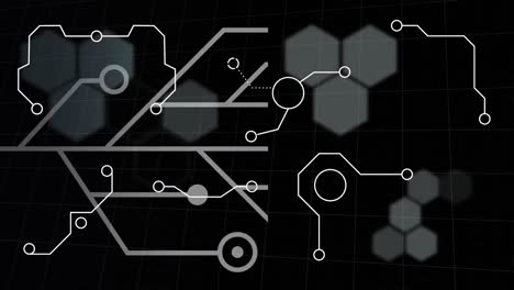 animation of data processing anc network of circuit board