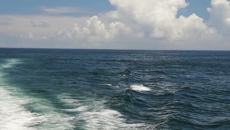 A-shot-of-Dolphins-jumpings-waves-created-by-a-catamaran's-engines