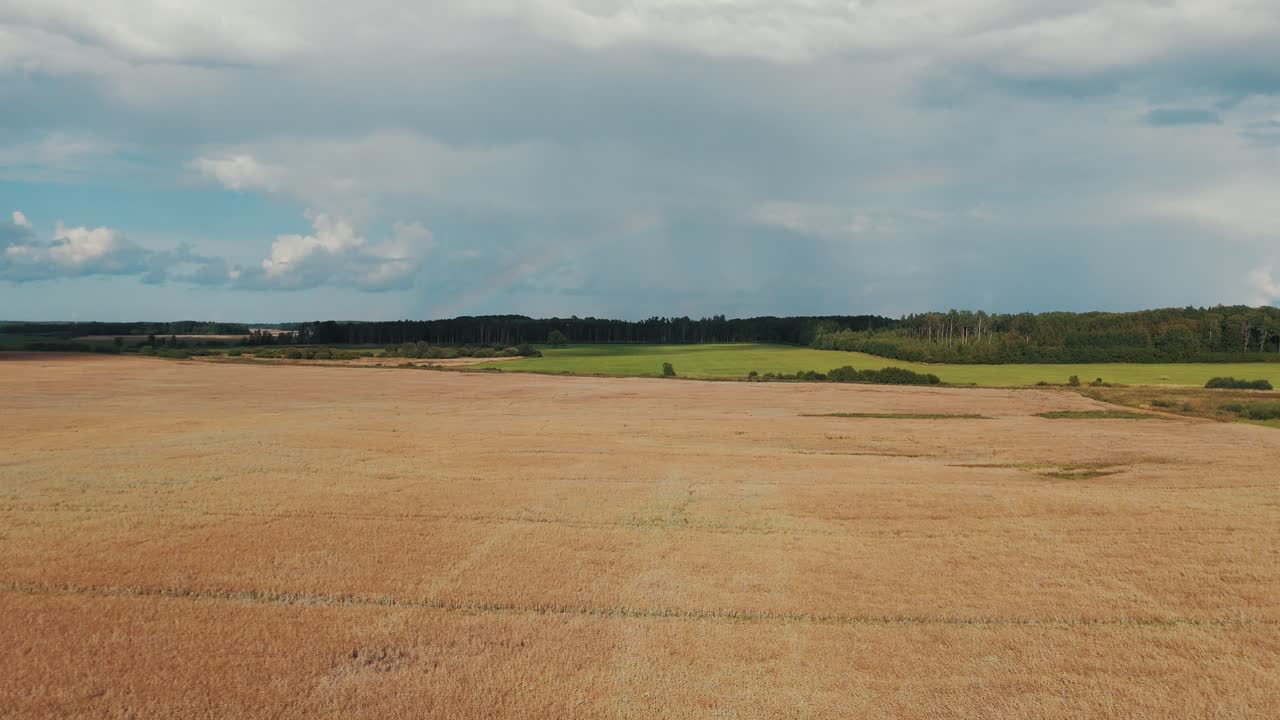 радуга над зеленым полем после шторма с дождем, осенью, воздушный вид под тяжелыми облаками перед грозой