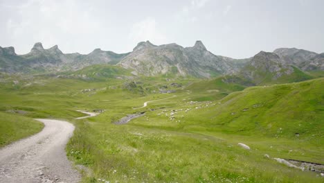 Col-Du-Pourtalet-Pass-Und-Grenze-In-Den-Pyrenäen-Zwischen-Frankreich-Und-Spanien-Mit-Fernsicht-Auf-Die-Schafherde,-Die-Auf-Grüner-Weide-Weidet
